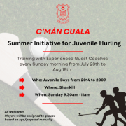 Summer initiative for juvenile hurling poster