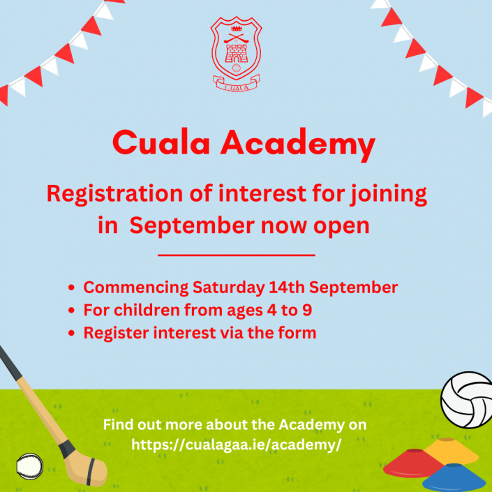 Flyer for advertising Cuala Academy