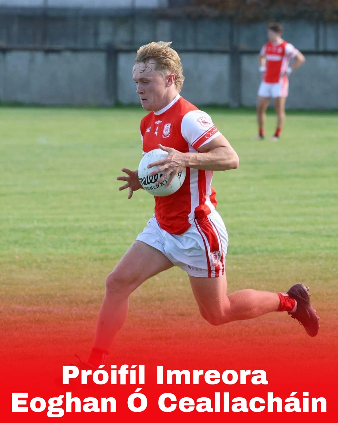 Próifíl Imreora – Eoghan Ó Ceallacháin – Cuala GAC – Official Website